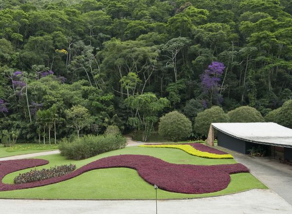 projeto do roberto burle marx um dos arquitetos e paisagistas mais famosos do brasil