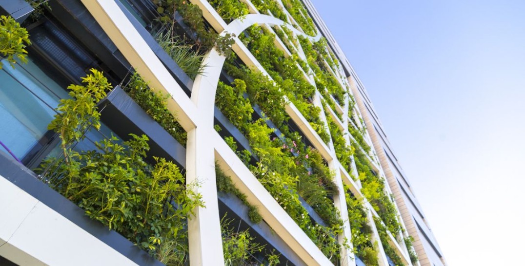 Uma parede ecológica de um prédio cheia de vegetações verdes