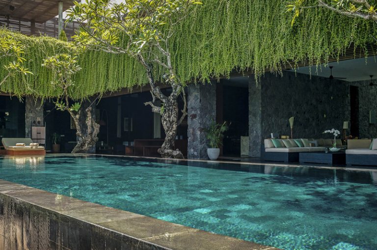 decoração com plantas naturais